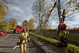 Konar spadł na trakcję. Tramwaje nie jeździły