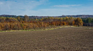 Las jak ogród (Do lasu z portElem, odc. 5)