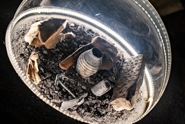 Tanio kupić, drogo sprzedać   (Z historią w tle) 