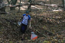 Jak biegać to tylko na orientację