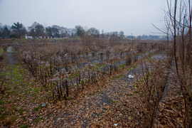 Nowy pomysł na basen przy Spacerowej