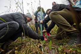 Dla leśnych roślin i zwierząt