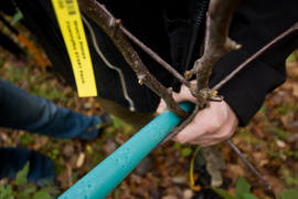 Dla leśnych roślin i zwierząt