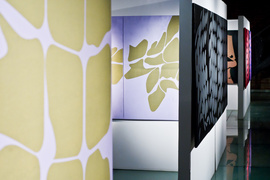 Podróż przez płótna