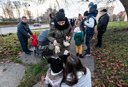 \"To ja posadziłam to drzewo\"