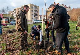 \"To ja posadziłam to drzewo\"