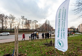 \"To ja posadziłam to drzewo\"