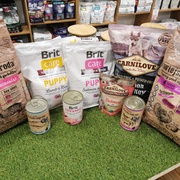 Zadbaj o zdrową dietę swojego psa