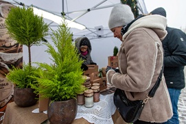 Mikołaj, stragany, koncerty. Trwają Świąteczne Spotkania Elblążan