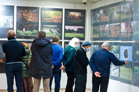 Elbląskie parki na zdjęciach mieszkańców