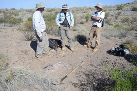 Odkrywca dinozaurów... z Elbląga