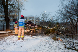 Drzewo spadło na dwie osoby. Wichura daje się we znaki