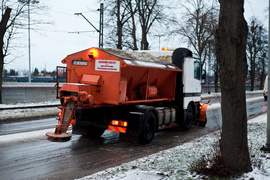 Drzewo spadło na dwie osoby. Wichura daje się we znaki