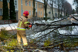 Drzewo spadło na dwie osoby. Wichura daje się we znaki