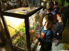 Taka lekcja prehistorii tylko w Żłobku i Przedszkolu Mały Europejczyk w Elblągu