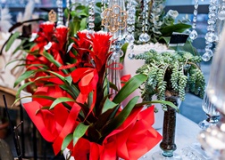 Dzień Kobiet z Kwiaciarnią Romantyczna