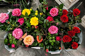 Dzień Kobiet z Kwiaciarnią Romantyczna