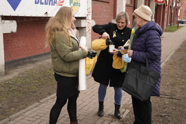 Żółte tulipany dla elblążanek od Ruchu Polska 2050 z okazji Dnia Kobiet 
