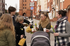 Żółte tulipany dla elblążanek od Ruchu Polska 2050 z okazji Dnia Kobiet 