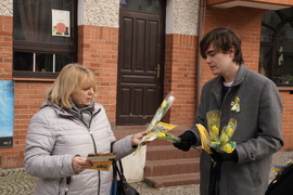 Żółte tulipany dla elblążanek od Ruchu Polska 2050 z okazji Dnia Kobiet 