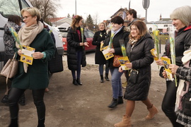 Żółte tulipany dla elblążanek od Ruchu Polska 2050 z okazji Dnia Kobiet 