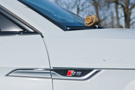 Uszkodzony most po zderzeniu dwóch aut. Zobacz film