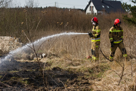Pożar traw w Gronowie Górnym