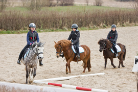 Trzydzieści lat minęło... z końmi