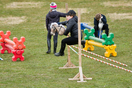 Trzydzieści lat minęło... z końmi