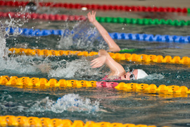 Wiosenny kraul i motylek