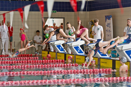 Wiosenny kraul i motylek