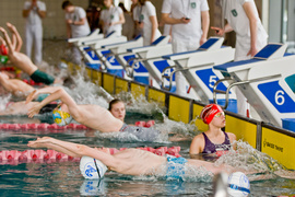 Wiosenny kraul i motylek