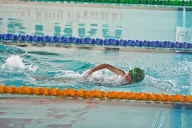 Wiosenny kraul i motylek