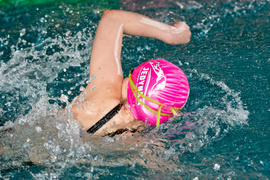 Wiosenny kraul i motylek