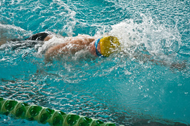 Wiosenny kraul i motylek