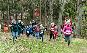 Długodystansowo po Wysoczyźnie Elbląskiej