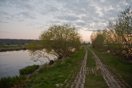 Zamiast spania okazja przyrody podziwiania