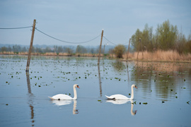 Zamiast spania okazja przyrody podziwiania