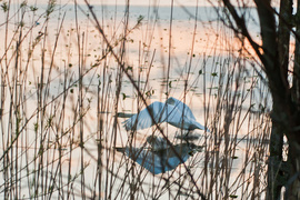 Zamiast spania okazja przyrody podziwiania