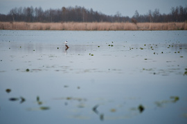 Zamiast spania okazja przyrody podziwiania