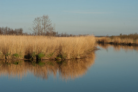 Zamiast spania okazja przyrody podziwiania