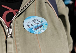 Fosa na wysoki połysk