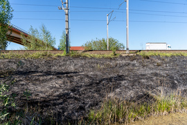 Płoną trawy, strażacy apelują i ostrzegają