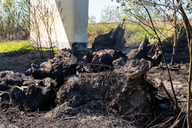 Płoną trawy, strażacy apelują i ostrzegają
