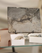 Wyjątkowe wydarzenie po raz pierwszy w mieście!