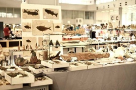 Wyjątkowe wydarzenie po raz pierwszy w mieście!