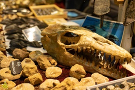 Wyjątkowe wydarzenie po raz pierwszy w mieście!