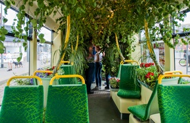 \"Tramwaj zielony przez ulice mego miasta mknie...\"