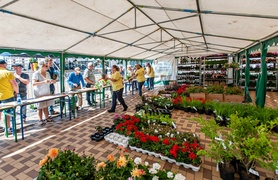 Wymieniali odpady na rośliny