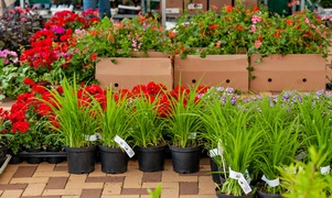 Wymieniali odpady na rośliny